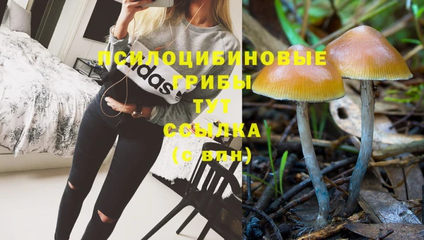 мяу мяу кристалл Каменногорск