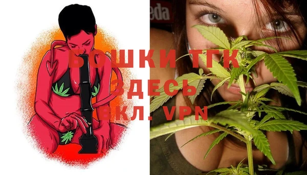 первитин Каменка