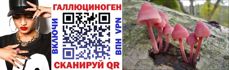 kraken как зайти  Куровское  Галлюциногенные грибы мухоморы 